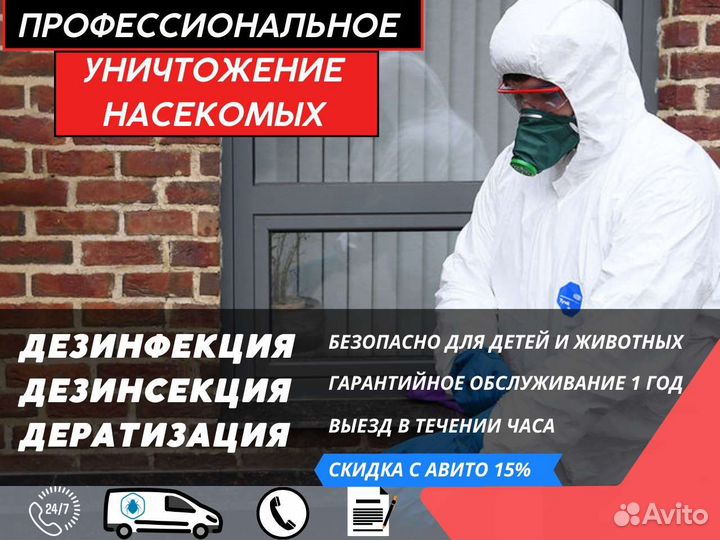 Уничтожение клопов
