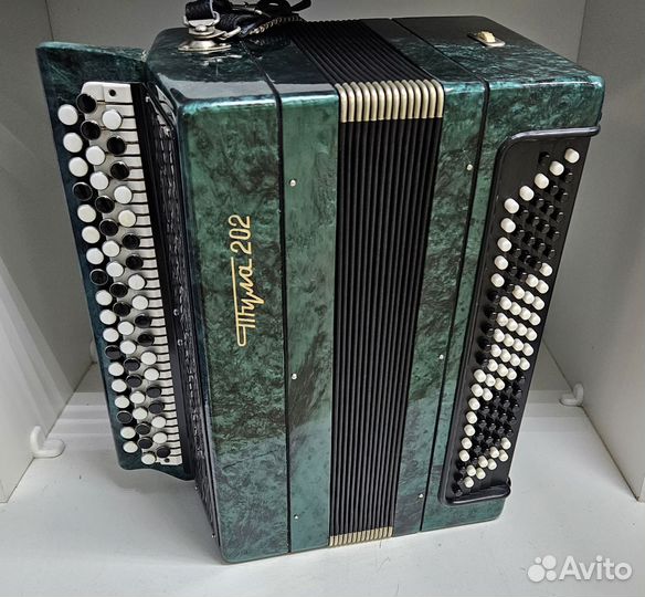 Баян Тула 202