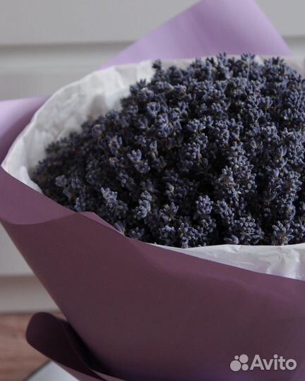 Большой букет лаванды (сухоцветы)