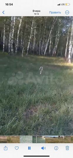 Участок 14,7 сот. (ИЖС)
