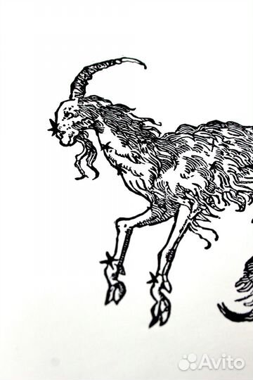 Линогравюра ''Capricorn'',Козерог