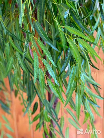 Искусственное дерево Ивушка