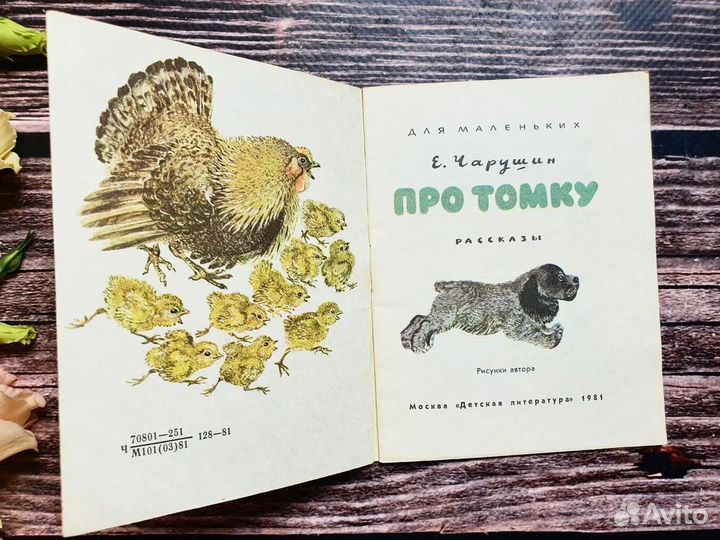 Чарушин. Про Томку 1981 г