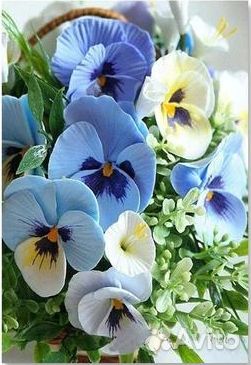 Картина Алмазная мозаика Алмазная вышивка