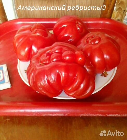 Семена томатов и перцев редких экзотических сортов