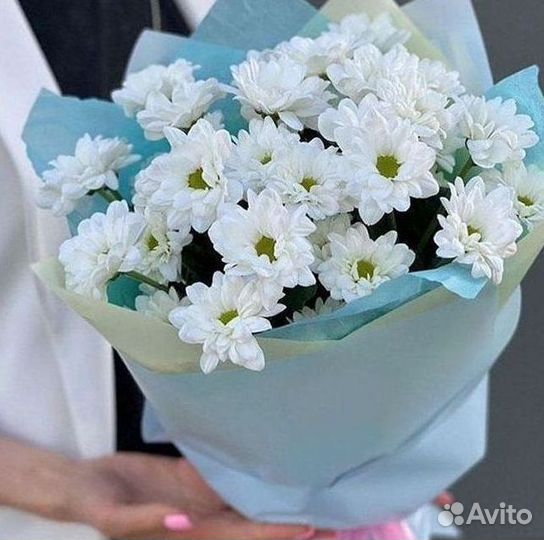 Доставка букетов и цветов. Хризантема