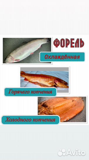Форель, морепродукты