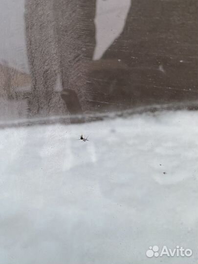 Лобовое стекло t5 б/у