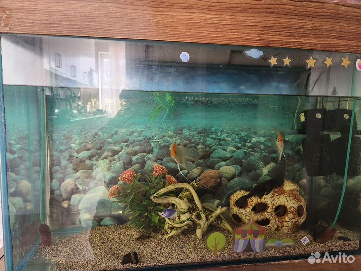 Аквариум