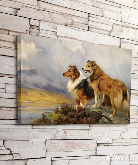 Картина Собаки