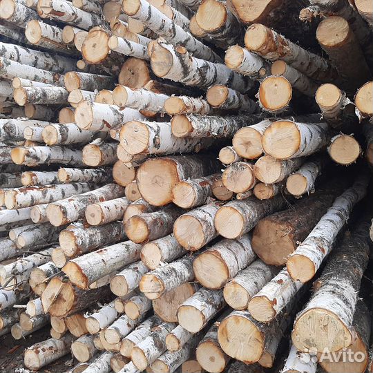 Дрова дуб