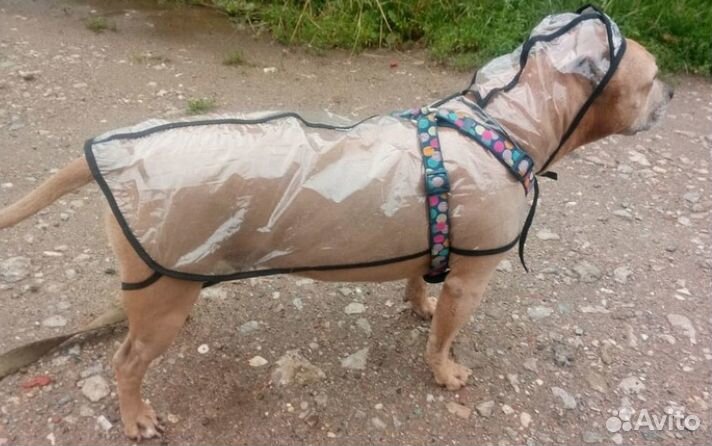 Дождевик для собаки