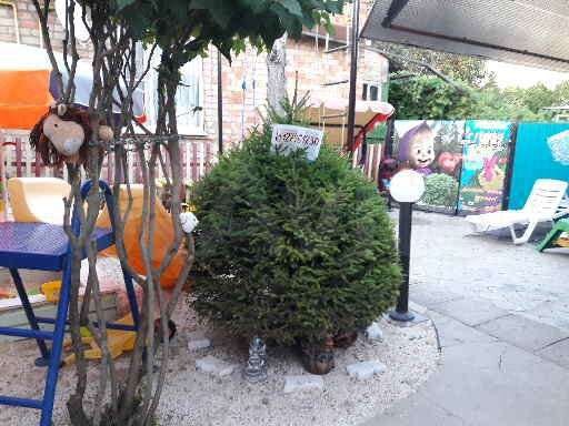 Дом 50 м² на участке 5 сот.