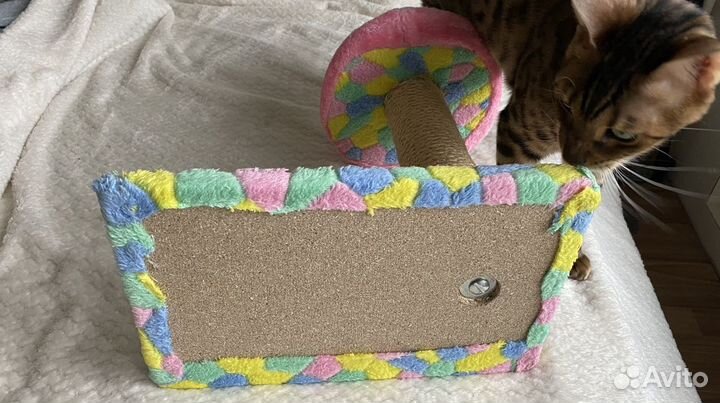 Лежанка и когтеточка для кошек