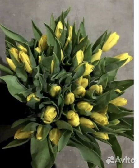 Тюльпаны на 8 марта любое количество