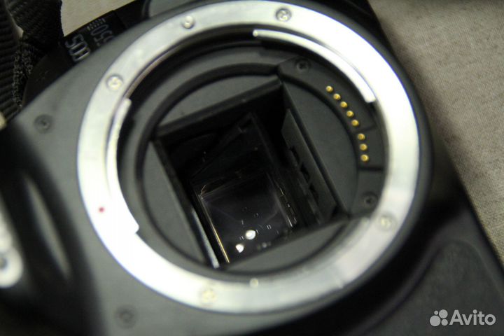 Canon EOS 550 D + Canon EFS 18-200