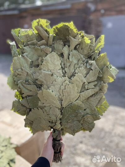 Кавказский дубовый веник