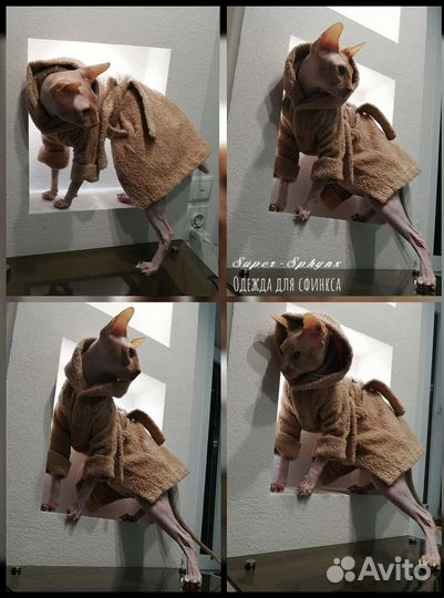 Одежда для сфинкса, кошек и собак на заказ