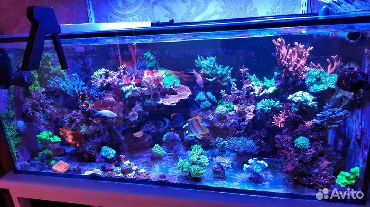 Уход за аквариумом