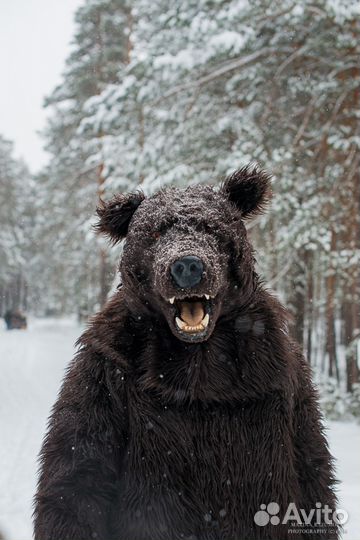 Костюм медведя