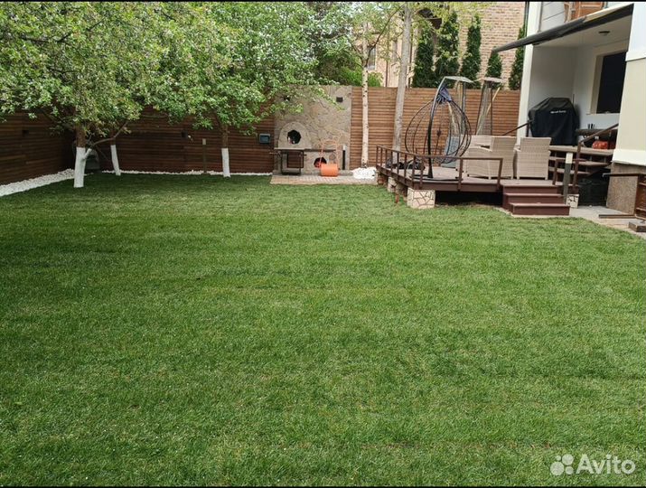Рулонный газон под ключ Стандарт