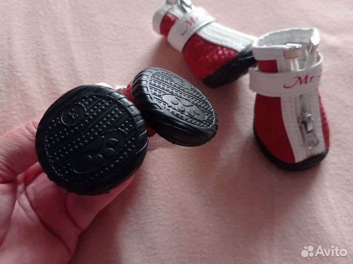 Одежда для маленькой собаки