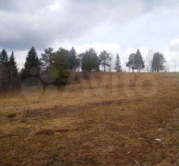 Участок 12,7 сот. (СНТ, ДНП)
