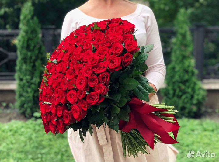 Высокие розы Гигантские розы 110