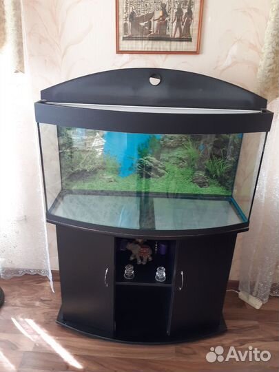 Аквариум 200литров с тумбой