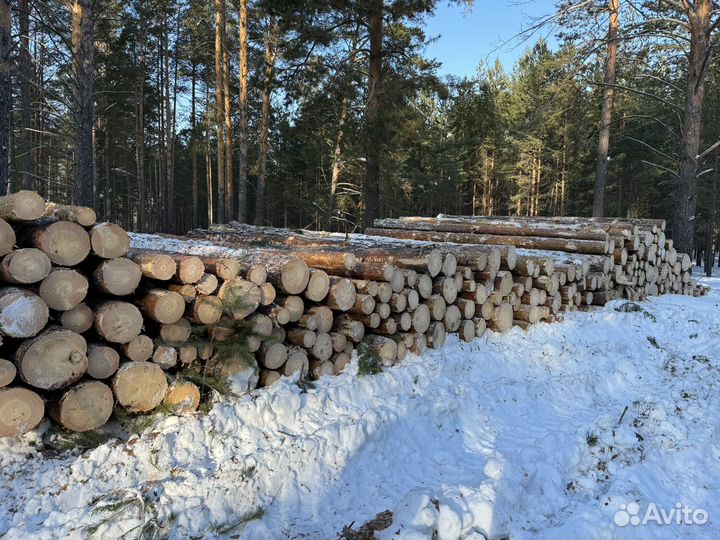 Услуги лесозаготовки