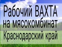 Рабочий мясокомбината Вахта Краснодарский край