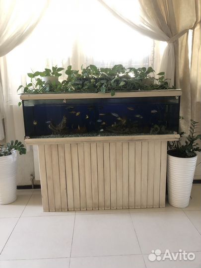 Аквариум с тумбой