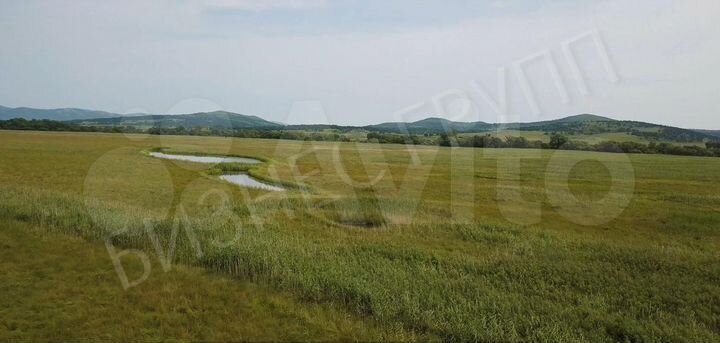 Участок 504 га (СНТ, ДНП)