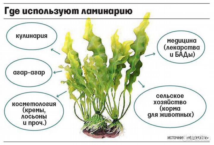 Продаю.Сушёная кaпуста Laminaria(наразвес от 1 кг)