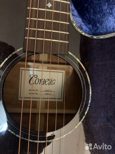 Гитара Cordelia