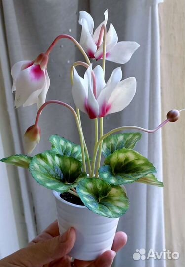 Подарок. Композиции из холодного фарфора