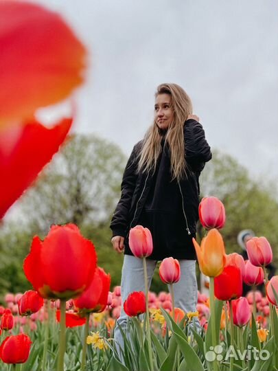 Бесплатный курс по фотографии