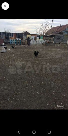 Дом 56 м² на участке 1,06 га