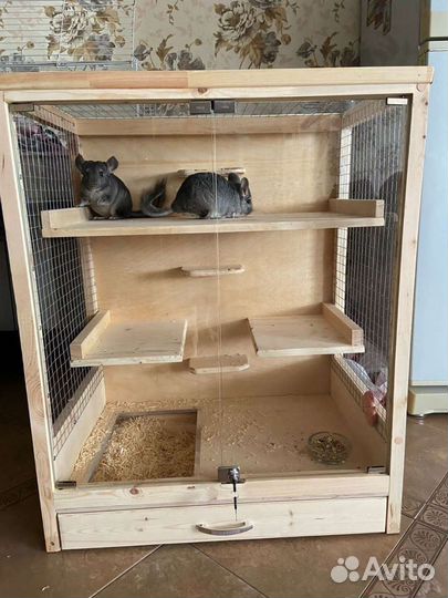 Витрина для грызунов