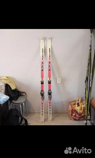 Горные лыжи fischer sc4