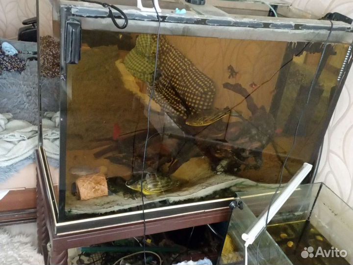Аквариум 300 литров