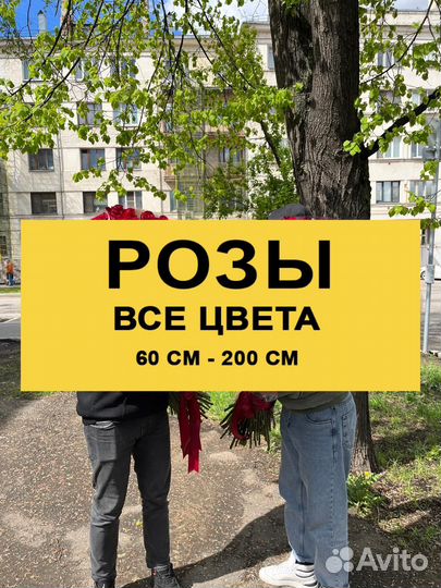 Доставка цветов, букеты, 101 роза