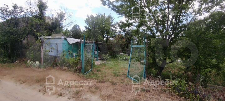 Участок 5,9 сот. (СНТ, ДНП)