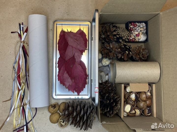 Природный материал для поделок