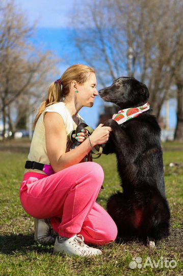 Собака Берта ждёт хозяина