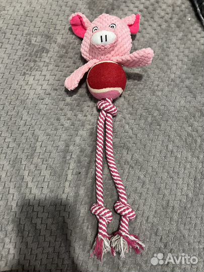 Игрушки для собак