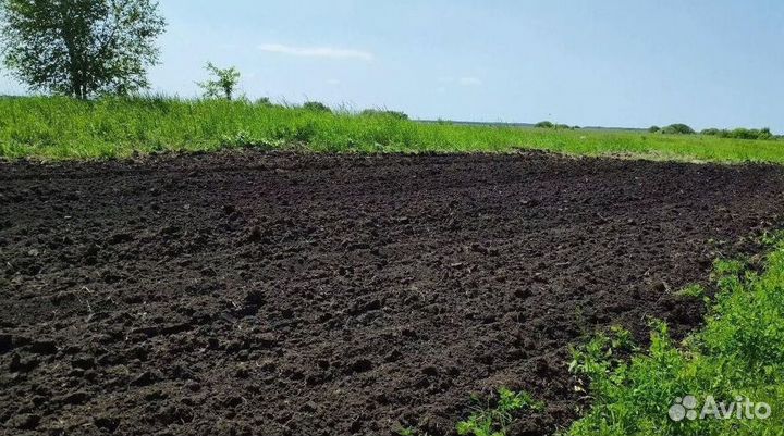 Чернозем с доставкой