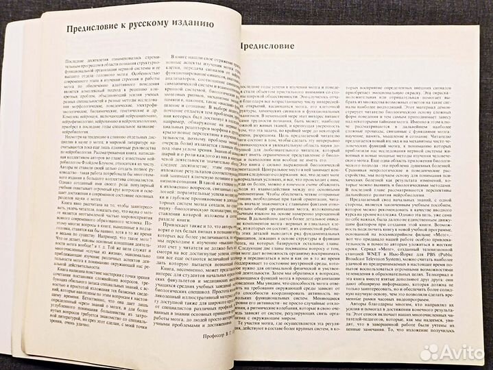 Мозг, разум и поведение. Блум. 1988