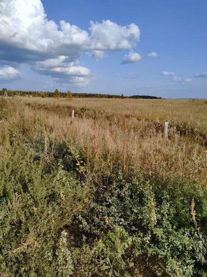 Участок 4 га (СНТ, ДНП)