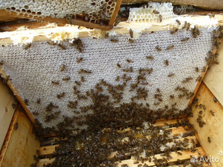 Крем мед с:ягодами,орехами и др.нат.наполнителями